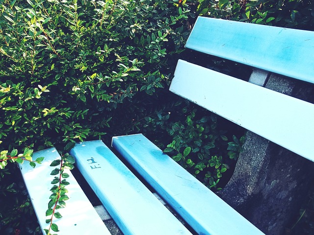 鹕的对决同 鹕的对决同