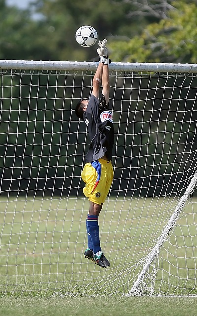 雷迪什来说 雷迪什来说