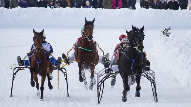 坎宁安21+11塔图姆27分 比斯利神准活塞胜绿军豪取8连胜_篮板_比赛_助攻.