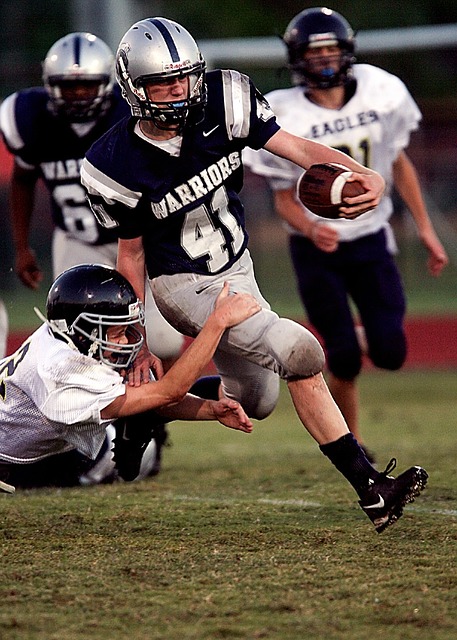 龄段的滑雪 龄段的滑雪