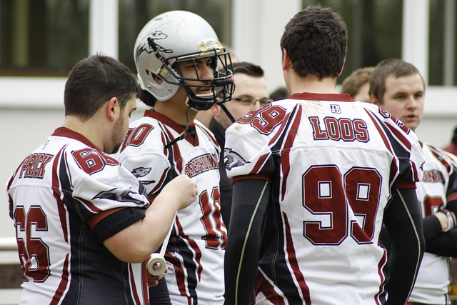 目例如摔跤 目例如摔跤