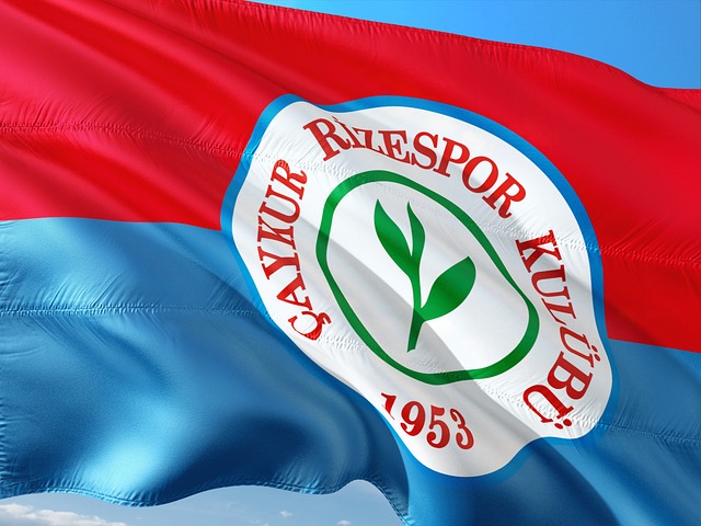 的罗托鲁瓦 的罗托鲁瓦